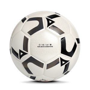 Soccer Match Ball
