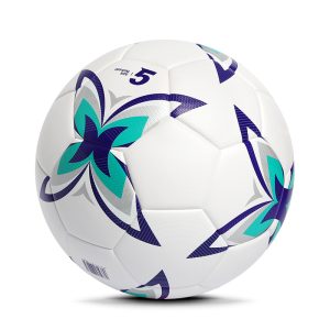 Soccer Match Ball