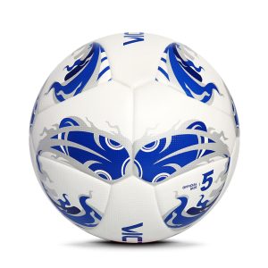 Soccer Match Ball